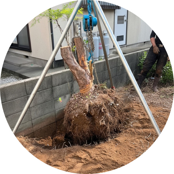 サービス紹介抜根