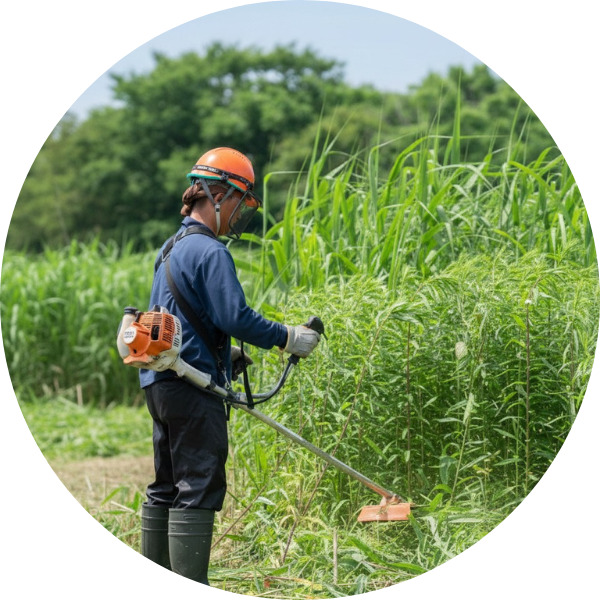 サービス紹介草刈り