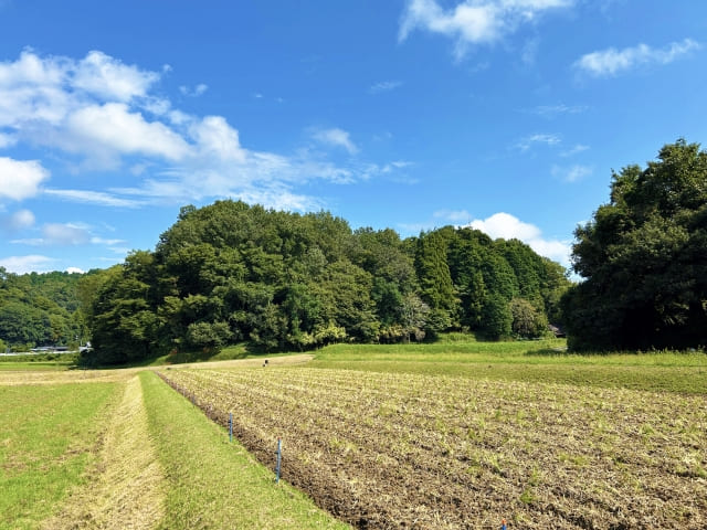 広大な土地の写真