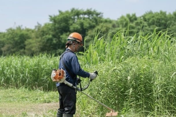 メニュー草刈りの写真
