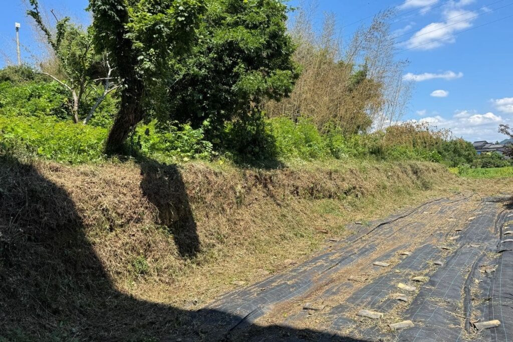 綾部草刈り作業後の写真